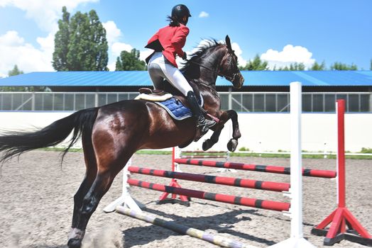 Young female jockey on horse leaping over hurdle