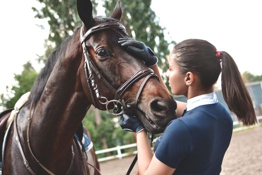 Close up hands of woman hugging a horse. Young girl petting her horse in stable. Equine therapy concept. Love between people and animals.