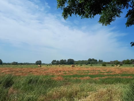 Hay on the background of the forest strip and the blue sky. Beautiful landscape Beautiful landscape, senokos against the sky and woodland.