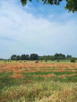 Hay on the background of the forest strip and the blue sky. Beautiful landscape Beautiful landscape, senokos against the sky and woodland.