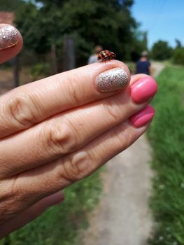Ladybird on a woman's hand. Insect on your finger.