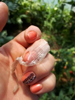 Snake skin remaining after molting. the skin of a snake in the hands of a woman.