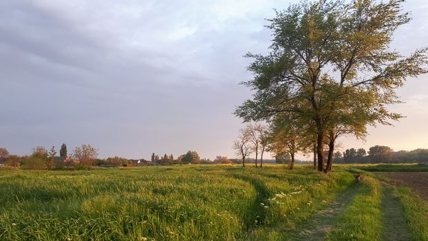 The village landscape, the road is wood and field and the distance is the village.