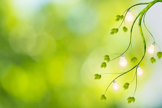 Tree concept, saving energy from light bulbs, natural bokeh background