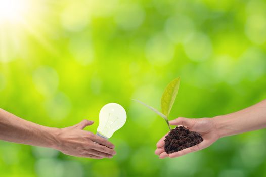 Energy saving concept energy saving love nature scene background bokeh natural green light