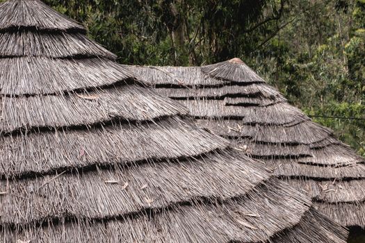 detail of a traditional thatched roof of ancient portugal