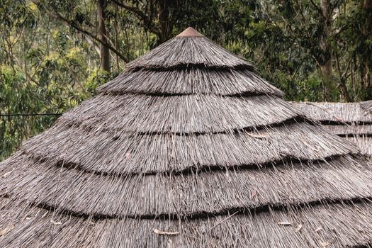 detail of a traditional thatched roof of ancient portugal