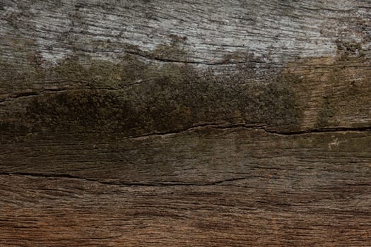The old wood pattern texture abstract background