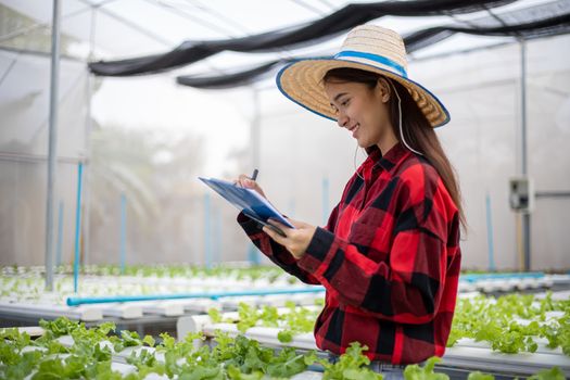 Asian woman farmer using tablet and notebook for inspecting the quality of organic vegetables grown using hydroponics.