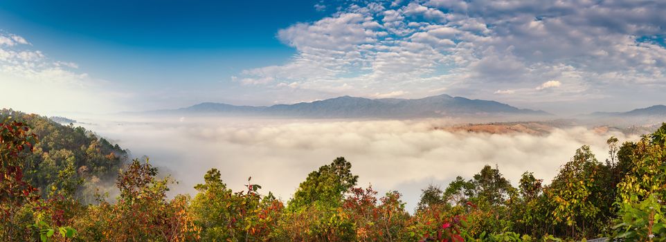 Landscape Panorama Scenery View of Mountain Range With Foggy Against Blue Sky Background at Sunrise, Scenic Tranquil Nature Plant With The Mist in Morning Sunrise. Panoramic Nature Outdoors