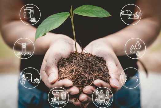Smart Farm or World Eco Green Earth Concept, Closeup of Woman Hand is Holding Tree Seeding on Her Hands With Agriculture Smart Farming Icon. Eco Friendly and for World  Environment Sustainable