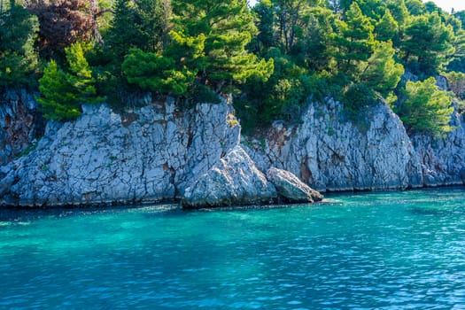 seashore, rocks washed by water and vegetation on them, sunny day