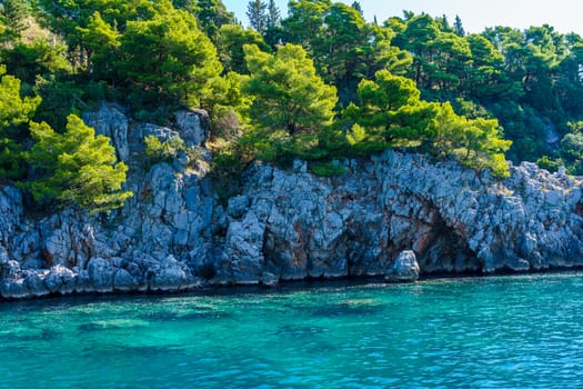 seashore, rocks washed by water and vegetation on them, sunny day