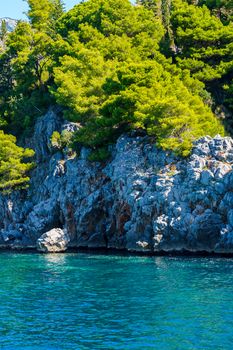 seashore, rocks washed by water and vegetation on them, sunny day