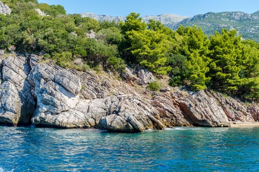 seashore, rocks washed by water and vegetation on them, sunny day