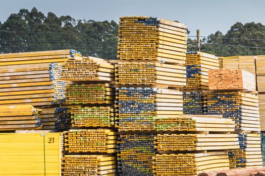 Vila Cha near Esposende, Portugal - May 9, 2018: Pallet wood storage in a company in the city center on a spring day