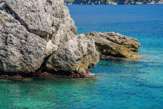 seashore, rocks washed by water and vegetation on them, sunny day