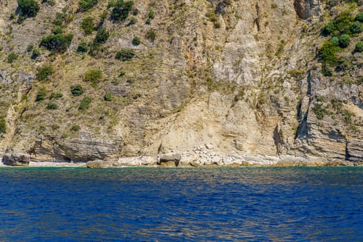 seashore, rocks washed by water and vegetation on them, sunny day