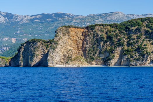 seashore, rocks washed by water and vegetation on them, sunny day