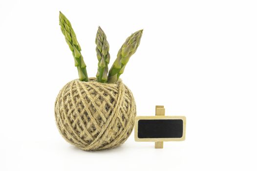Fresh green asparagus spears and ball of natural hemp twine alongside a small slate or signboard isolated on white background, selective focus in a low angle view