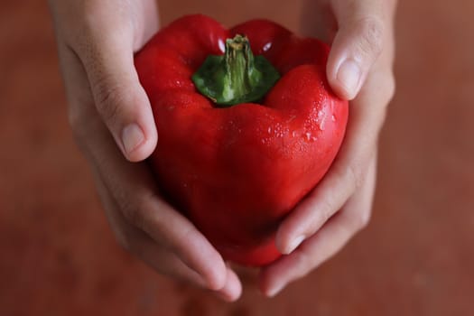 Conceptual photo of a hand holding a red bell pepper to show the importance of healthy eating during the times of home quarantine, self isolation and social distancing because of the covid-19 pandemic
