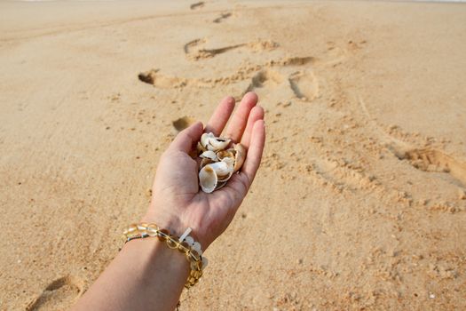 Enjoying the summer while social distancing at the beach collecting seashells