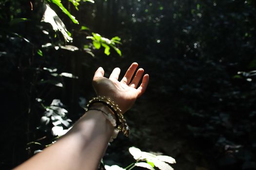 Hands reaching out to the light coming from the forest to show concept of supporting mental health, healing in nature and fitness during the covid-19 pandemic