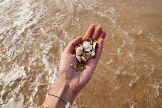 Enjoying the summer while social distancing at the beach collecting seashells