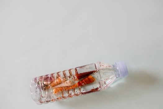 Studio shot of shells inside a plastic water bottle showing concept of plastic pollution in the ocean