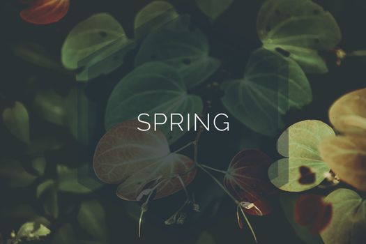Dark and moody Spring themed typography background