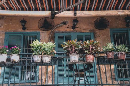 Rustic building balcony decorated with houseplants creating a calm and relaxing living space in the historical Old Quarter or french Quarter in Hanoi City