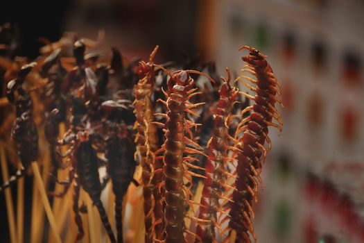 Fried centipedes and scorpions, exotic and traditional street food that shows the culture and cuisine of Thailand