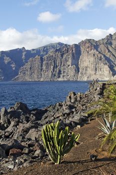 The highest european cliff at Tenerife - Los Gigantos