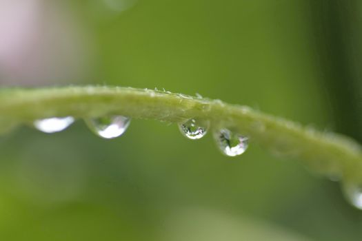 Raindrop