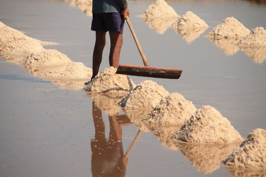 A salt farm worker harvesting salt which is the traditional and local livelihood of the Khmer people in Kampot Province, Cambodia