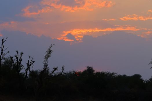 colourful domestic sky and clouds among sun sets behind silhouette forest trees in the monsoon season India