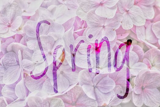 Spring season text background