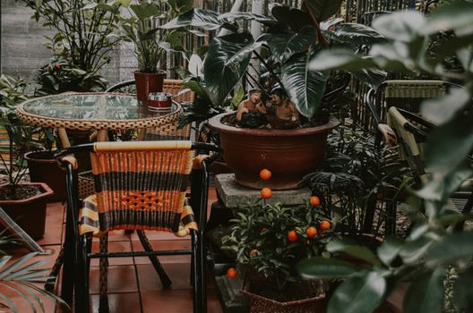 Tables and chairs among the thick foliage of an indoor garden to create a relaxing and healthy living space as way to cope with home quarantine during the covid-19 pandemic