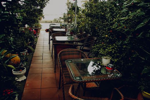 Tables and chairs among the thick foliage of an indoor garden to create a relaxing and healthy living space as way to cope with home quarantine during the covid-19 pandemic