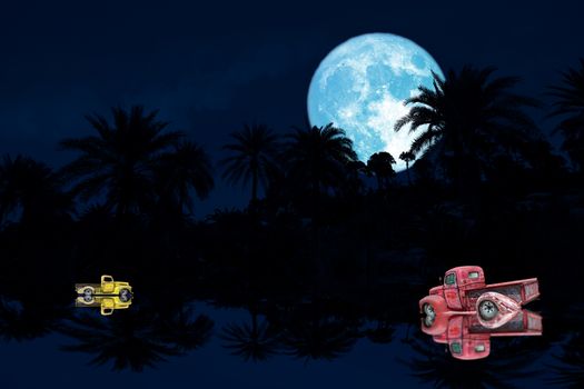 Full flower blue Moon and reflection silhouette tree in the forest night sky and car, Elements of this image furnished by NASA