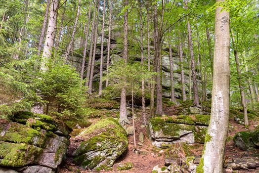 Huge rocks in a forest of Giant Mountains near Szklarska Poreba, Poland