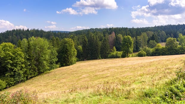 Summer landscape of Giant Mountains near Szklarska Poreba in Poland