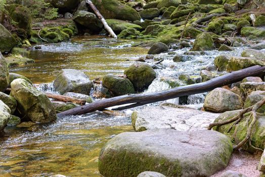 View of Szklarka river in a forest in Giant Mountains, Poland