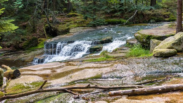 View of Szklarka river in a forest in Giant Mountains, Poland