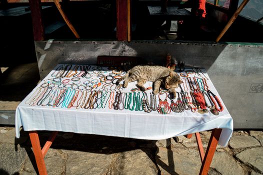A cat sleeping on a table full of souvenirs for tourist trekking towards Annapurna Base Camp shows the life and local culture of Nepalese people