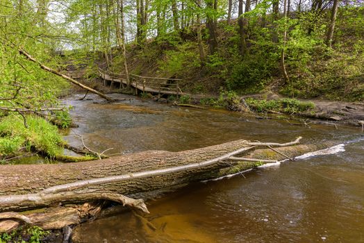 View of cascades on Tanew river in nature reserve Nad Tanwia in eastern Poland