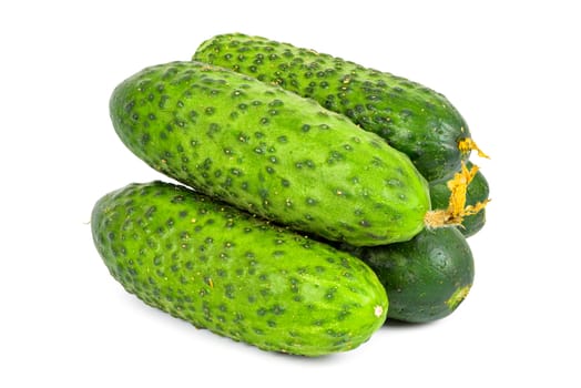 Fresh cucumbers isolated on white background with clipping path