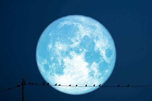 super strawberry moon back on silhouette birds on electric pole night sky, Elements of this image furnished by NASA
