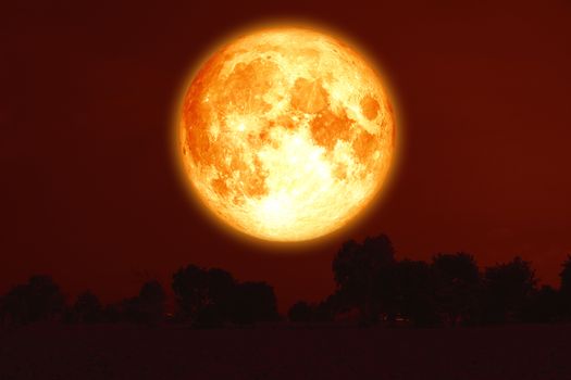 full harvest blood moon on red sky and silhouette trees, Elements of this image furnished by NASA