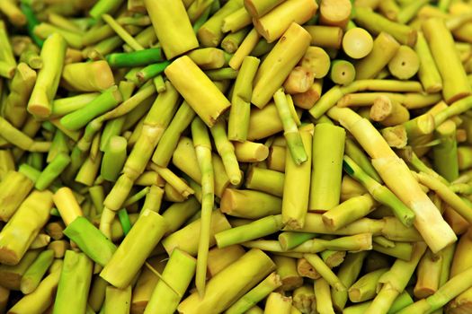 Fresh Bamboo shoots or bamboo sprouts background